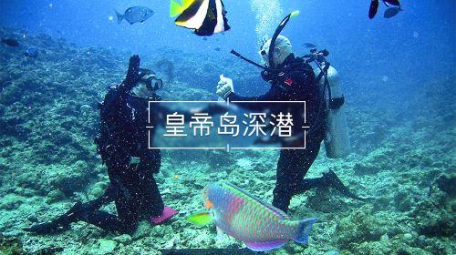快速、高效的求西葫芦饼的做法?有问必答平台 - 求西葫芦饼的做法?网页